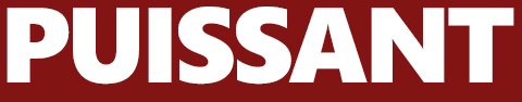 Puissant (a multidisciplinary journal in education)